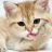 test1234