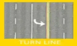 NEXL Turning Line For XXL
