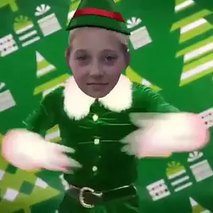 Holidays Cats Music Video