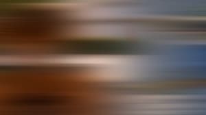 13431-pyIXWR1H8NghplAOt46KkONwJWz.jpg