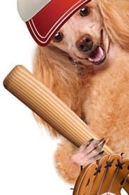 yUjM4FaXhD2gSqopMVM90mZMX06.jpg